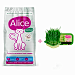 Alice Kısırlaştırılmış / Kilolu Kediler İçin Super Premium Mama Somonlu Karidesli 12 kg (Kısır ve/veya Kilolu) + Kedi Çimi