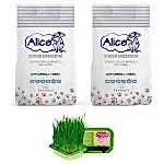 Alice Aktif Karbonlu Super Premium Topaklaşan Kedi Kumu 2x10 LT