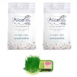 Alice Aktif Karbonlu Super Premium Topaklaşan Kedi Kumu 2x10 LT