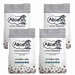 Aktif Karbonlu Super Premium Topaklaşan Kedi Kumu 4x10 Lt