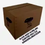 alice-kolili-gonderim