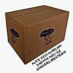 alice-kolili-gonderim