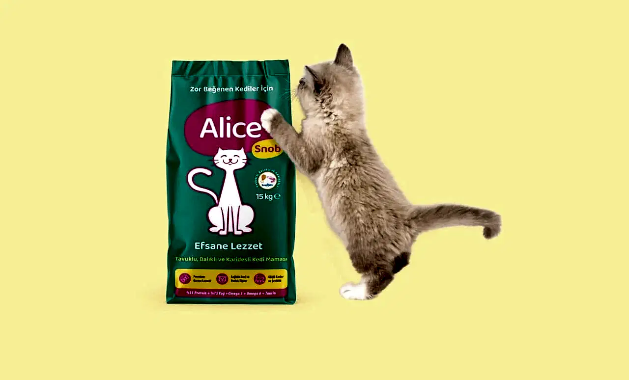 Kedi Maması Nasıl Seçilir