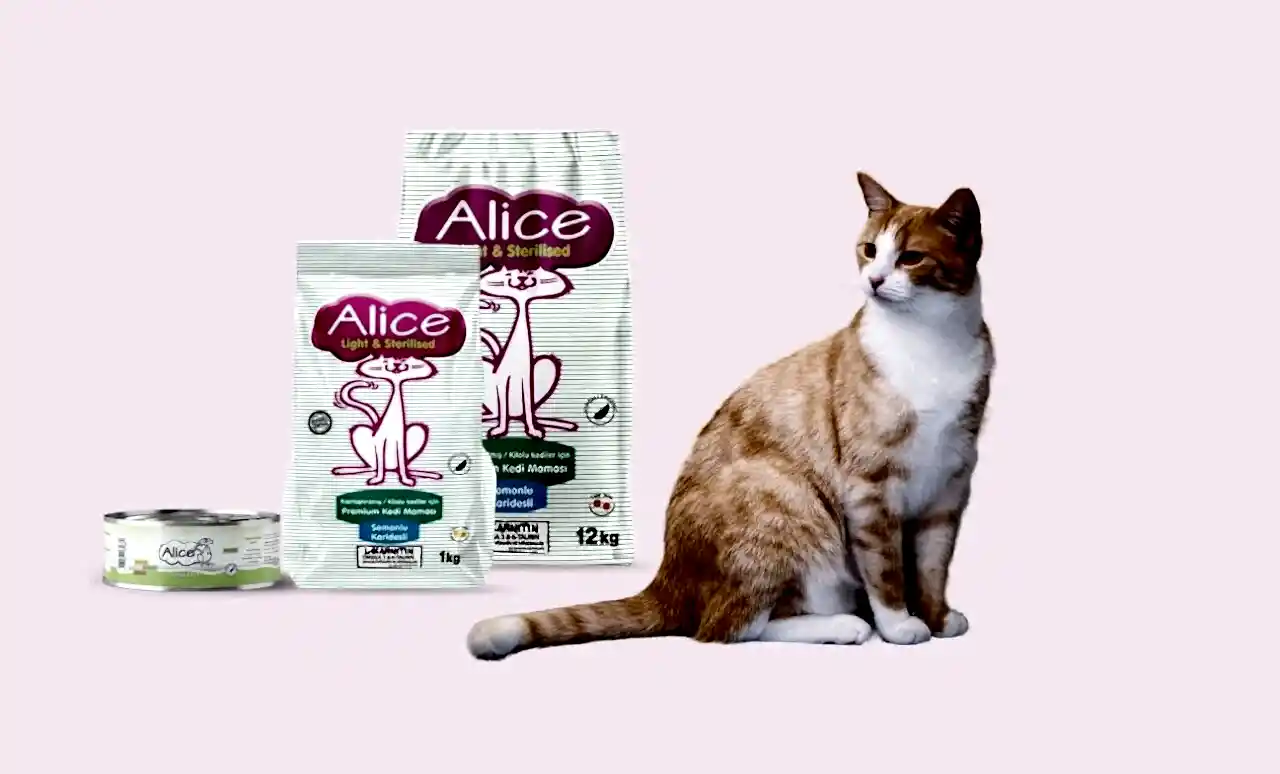 Kısırlaştırılmış Kedi Maması
