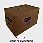 koliilegonderilmektedir