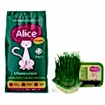Alice Snob Kuru Kedi Maması 15 kg