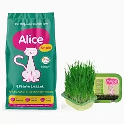 Alice Snob Kuru Kedi Maması 15 kg