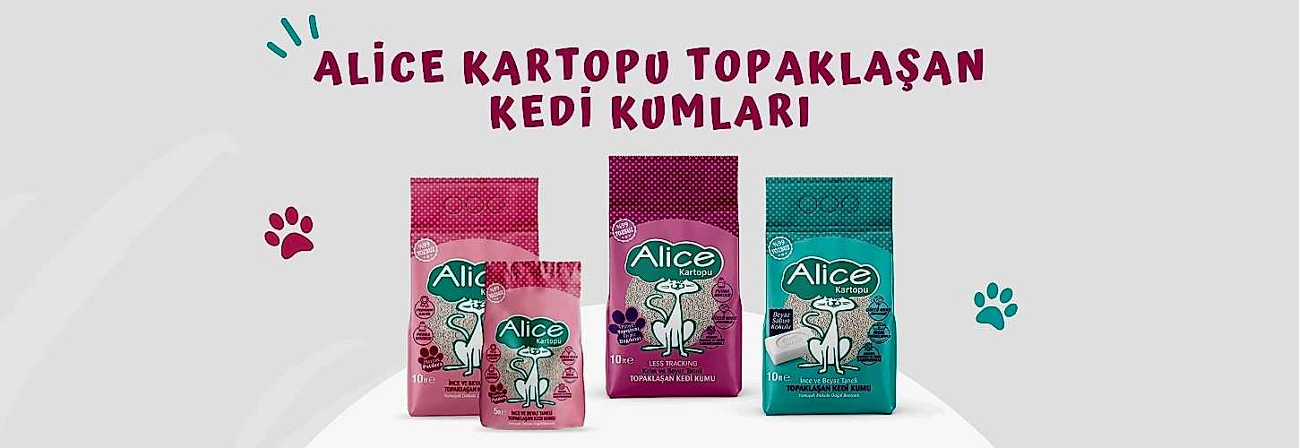 Alice Kartopu Topaklaşan Kedi Kumları