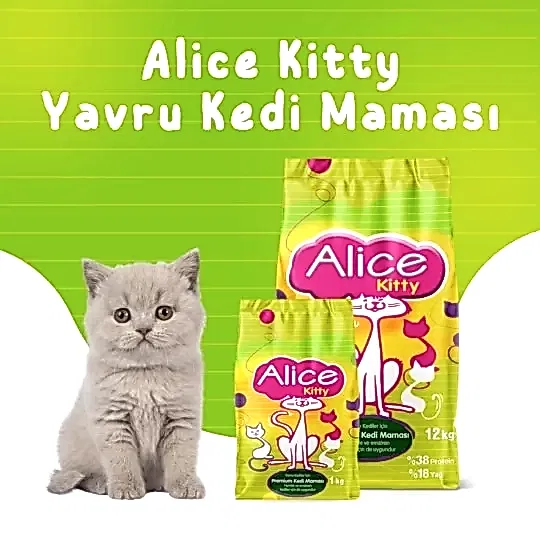 Alice Kitty Yavru Kedi Maması