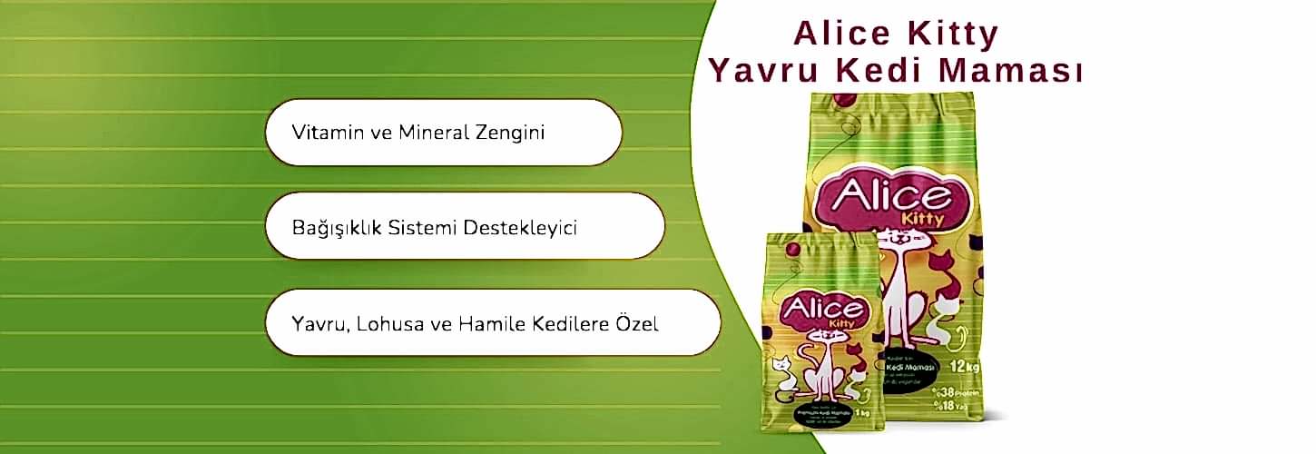 Alice Kitty Yavru Kedi Maması