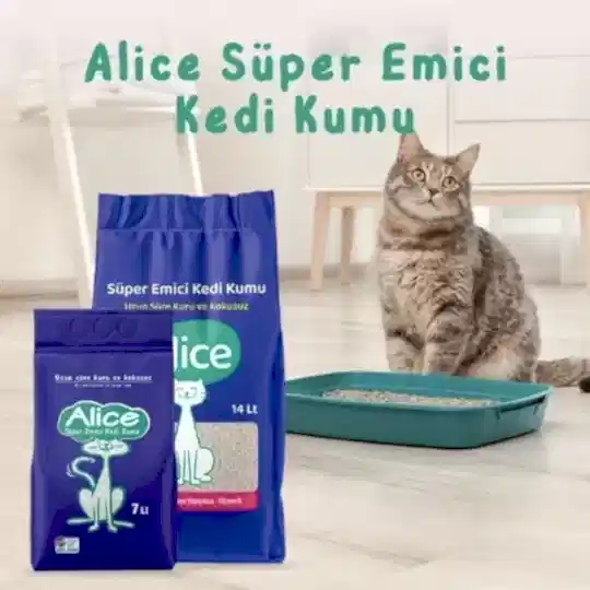 Alice Süper Emici Kedi Kumu